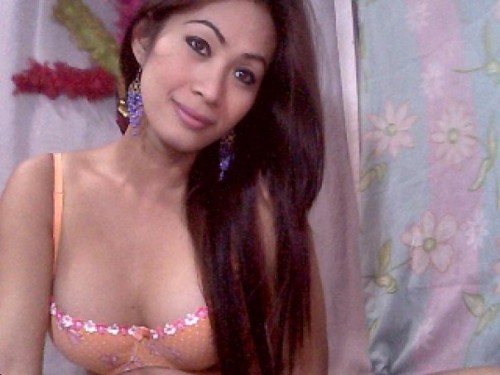 Thai ladyboys for dating / Ladyboys from Philippines for dating