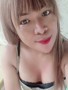 Thai ladyboys for dating / Ladyboys from Philippines for dating