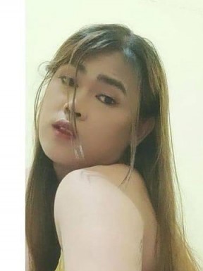 Thai ladyboys for dating / Ladyboys from Philippines for dating