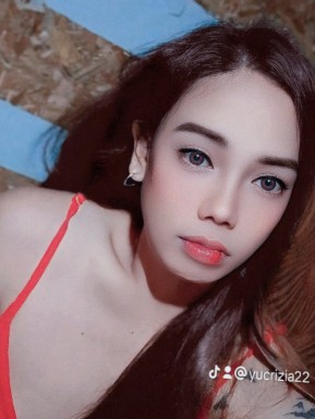 Thai ladyboys for dating / Ladyboys from Philippines for dating