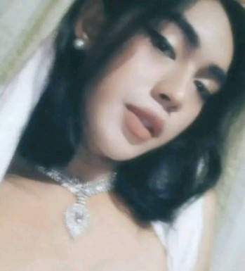 Thai ladyboys for dating / Ladyboys from Philippines for dating